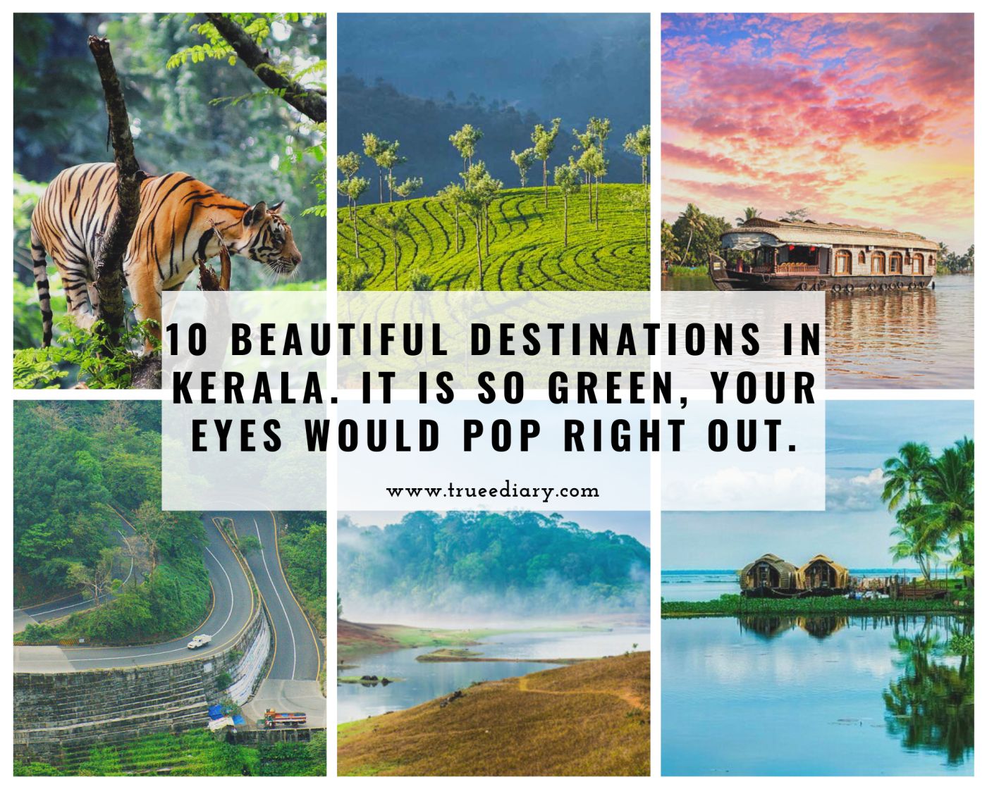 10 Beautiful Destinations In Kerala. It Is So Green, Your Eyes Would Pop Right Out.