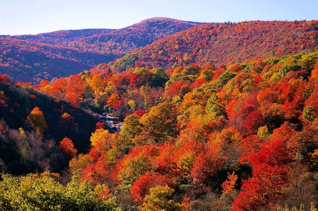 Autumn in the Appalachian Mountains is amazing place in Virginia