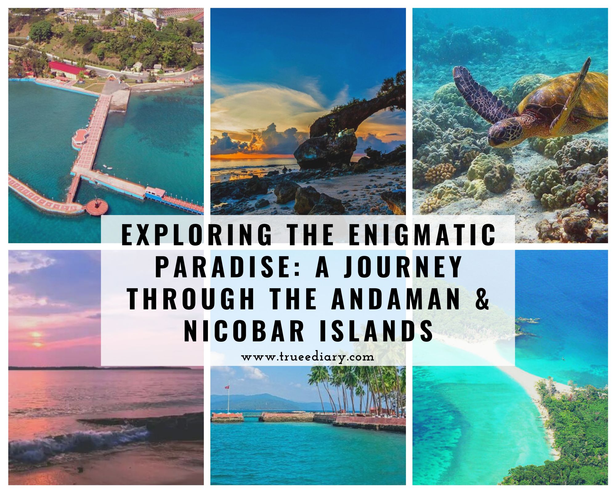 Exploring the Enigmatic Paradise: A Journey through the Andaman & Nicobar Islands