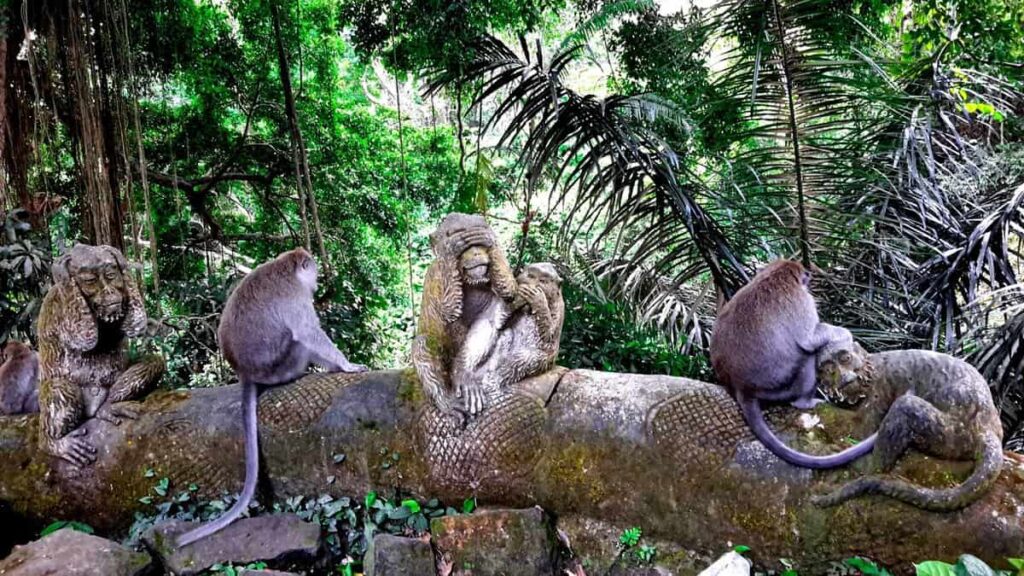 Sacred Monkey Forest Sanctuary (Ubud) - A complete guide